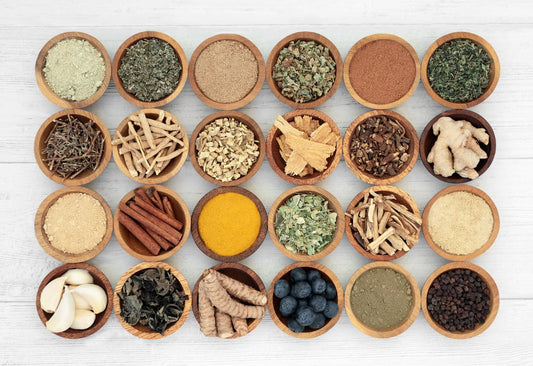 Traditional Brain Herbs Ancient Nootropics with a Bright Future