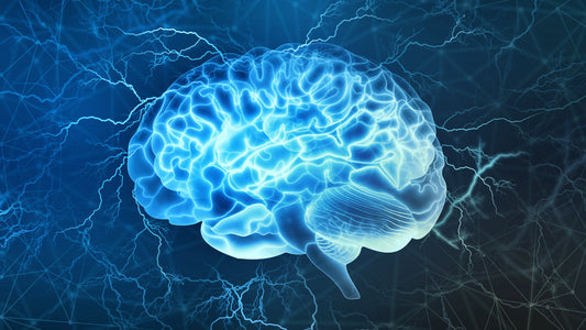 What are Nootropics Brain-Boosters Defined & Explained