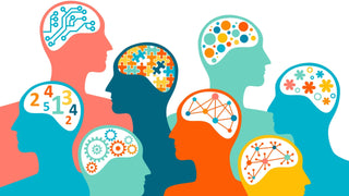 Who Uses Nootropics? Illustration of human head profiles with brains demonstrating different cognitive functions.