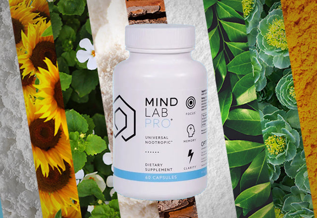acetyl l carnitine nootropic reddit Nootropics List: Types, Examples & How They Work
