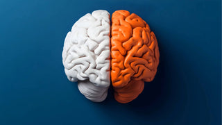6 Tips for a Better Brain (According to Neuroscience) featured image