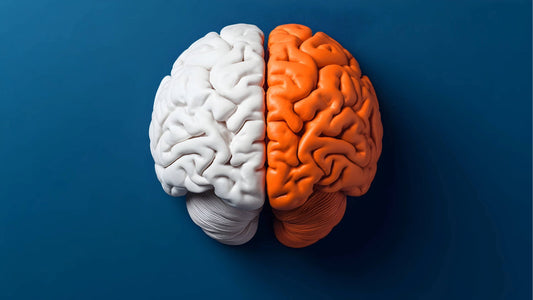 6 Tips for a Better Brain (According to Neuroscience)