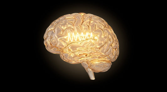 The Neuroscience of Creativity: Why Your Brain Needs Space to Think