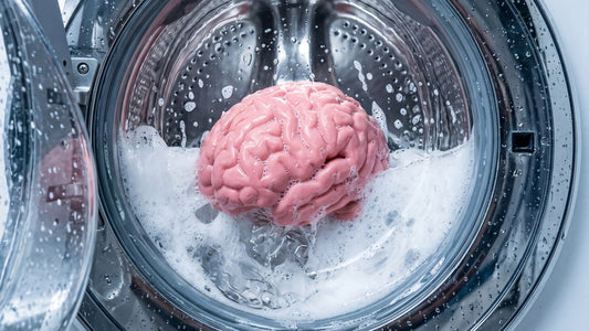 Why Your Brain Loves a Fresh Start (But Also Hates Change)