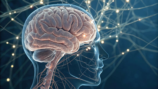How to Rewire Your Brain: Tips to Build Healthy Neural Pathways