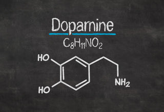Does Citicoline Increase Dopamine? featured image