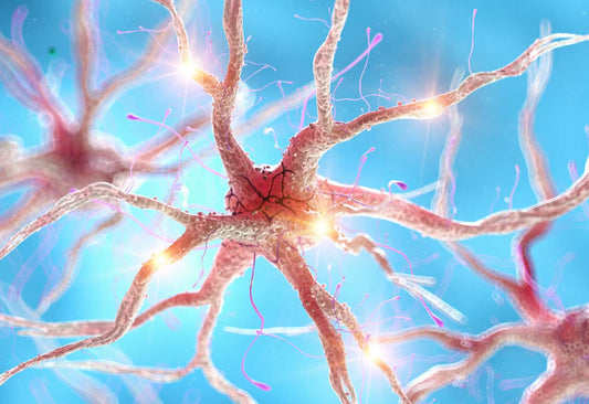 Dopamine Nootropics: Supplements for Mood, Motivation & Memory