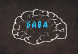 Chalk drawing of a brain on a blackboard with the word GABA inside.