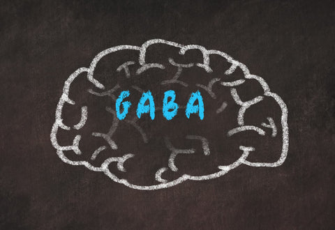 Chalk drawing of a brain on a blackboard with the word GABA inside.