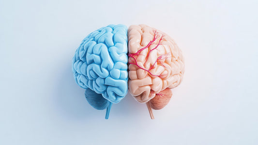 Supplements for Brain Injury Recovery Support. A brain is suspended on a fully charged plug against a light blue background.