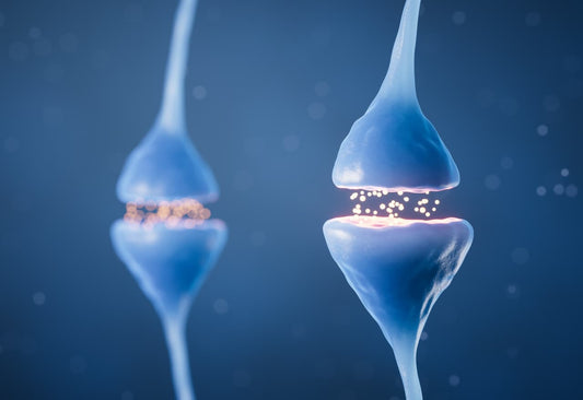 Mind Lab Pro® Studies Explained: Information Processing.