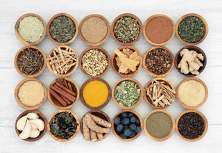 Traditional Brain Herbs Ancient Nootropics with a Bright Future