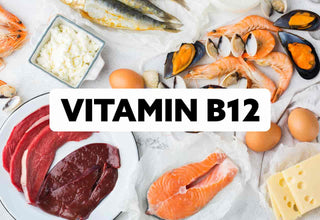 Nootropic Vitamin B12 - Boost Brain, Beat Burnout. B12-rich foods including salmon, shrimp, cheese, red meat and eggs.