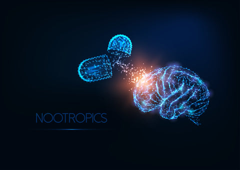 Best Nootropics for Long-Term Use in 2025