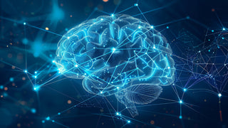 How Do Nootropics Work? Many Pathways to Whole-Brain Optimization featured image