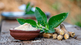 Top Adaptogens for Adrenals: Support Your Stress Response Naturally featured image