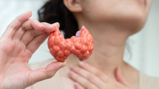 Adaptogens for Thyroid Health: Do They Help?