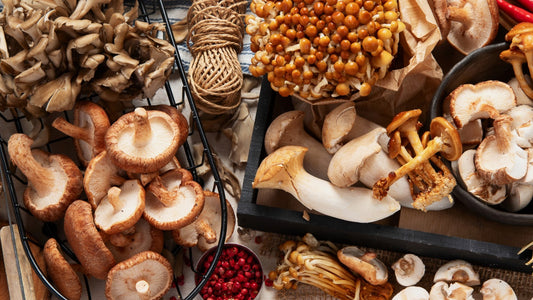 The Top Benefits of Adaptogenic Mushrooms for Wellness and Vitality