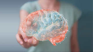 Best Brain Supplements for Adults. Woman reaching out to touch suspended image of energized and healthy brain.