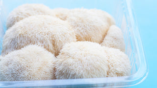 Best Mushrooms for Anxiety and Depression Relief