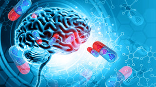Best Nootropic Supplements in 2026: Top Picks for Focus & Memory featured image