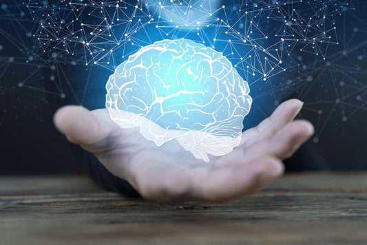 Best Nootropics for Beginners in 2025 – Quick Start Guide