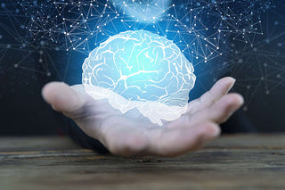 Nootropics for Beginners: Simple Guide & Starter Stacks featured image