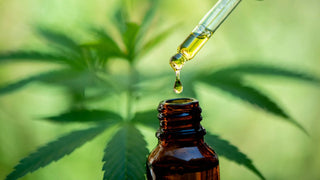 CBD Serotonin Effects - Nootropic Benefits for Mood, Stress, Sleep featured image