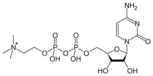 Citicoline: Cognizin Benefits, Dosage, Side Effects, and More