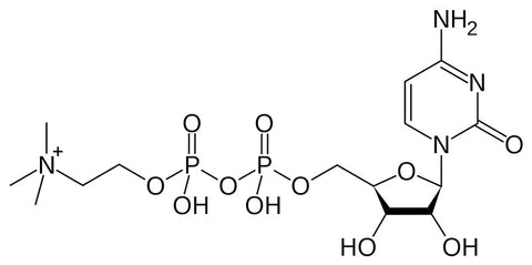 Citicoline: Benefits, Dosage, Side Effects, and More!