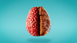 Cognitive Coffee: How to Turn Your Morning Brew into a Brain-Booster featured image