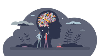 Examples of Brain Plasticity: Learning, Recovery, and Everyday Skills featured image