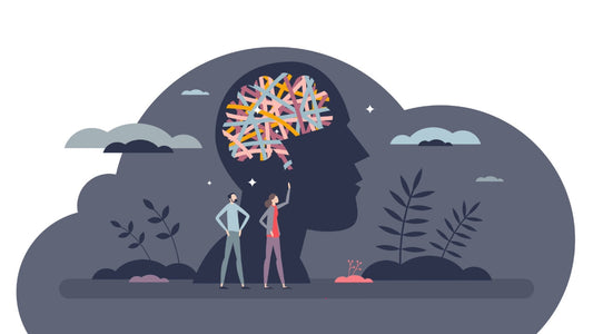 Examples of Brain Plasticity: Learning, Recovery, and Everyday Skills
