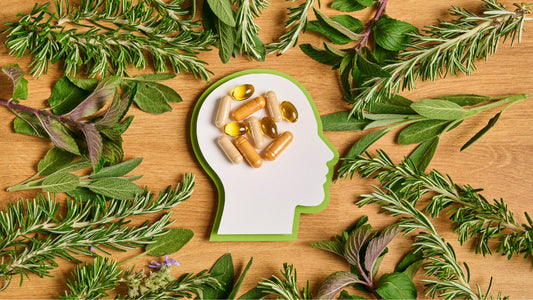 Herbal Focus: Top Botanicals for Concentration, Clarity and Drive