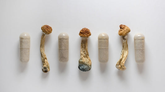 How to Microdose Mushrooms: Educational Overview