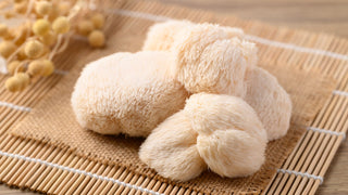 The Best Mushroom for Anxiety and Depression featured image