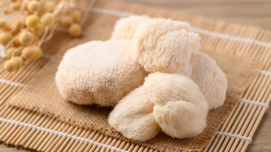 The Best Mushroom for Anxiety and Depression