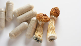 Microdose Mushrooms Benefits, dried psilocybin and capsules