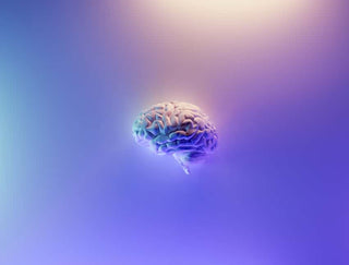 Can Nootropics Cause Brain Damage? featured image