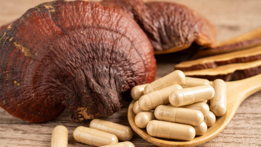 Mushroom Supplement Guide: Benefits, Types, and How to Choose.