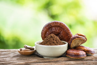 Mushrooms for energy. Reishi caps, powder and capsules.