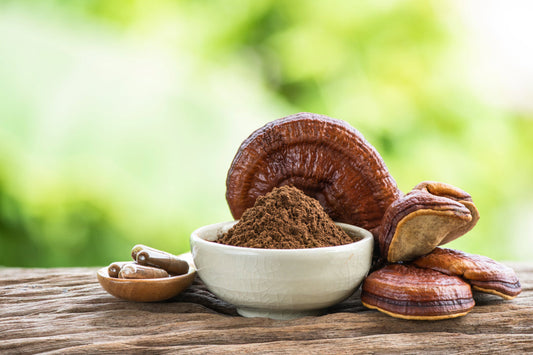 Mushrooms for energy. Reishi caps, powder and capsules.