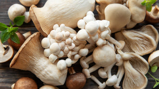 Best mushrooms for health, assortment shown