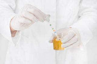 Nootropics drug screening is not a concern when you choose a safe, natural, high quality supplement.