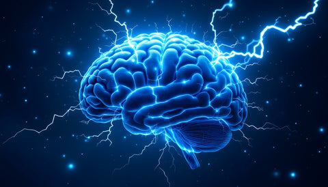 Best Nootropics for Energy in 2025