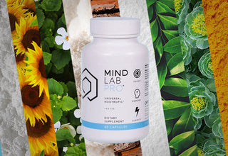 nootropics list in Mind Lab Pro