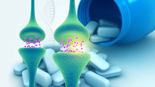 Picamilon - Benefits, Uses, Risks, and What to Know
