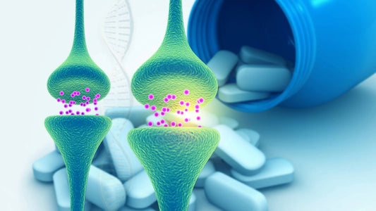Picamilon - Benefits, Uses, Risks, and What to Know