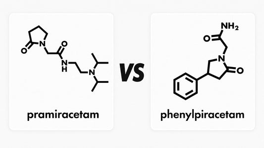 Pramiracetam vs. Phenylpiracetam: Comparison of Two Racetam Nootropics