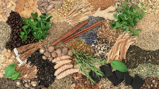 Stress adaptogen. Montage of various adaptogen roots, leaves, berries.